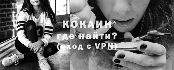 спайс Михайлов
