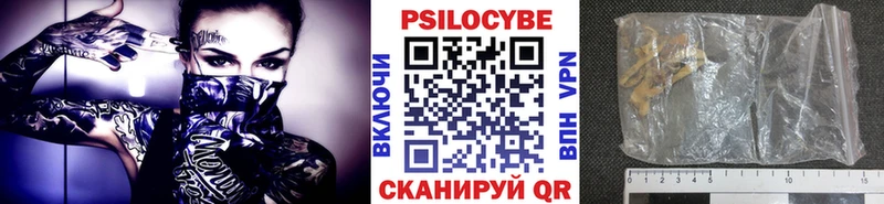 наркотики  Окуловка  Псилоцибиновые грибы Magic Shrooms 